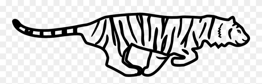 Tiger Running Animal Free Photo - Moving Animal Black And White Clipart