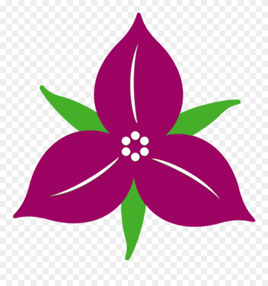 Clipart Trillium - Png Download