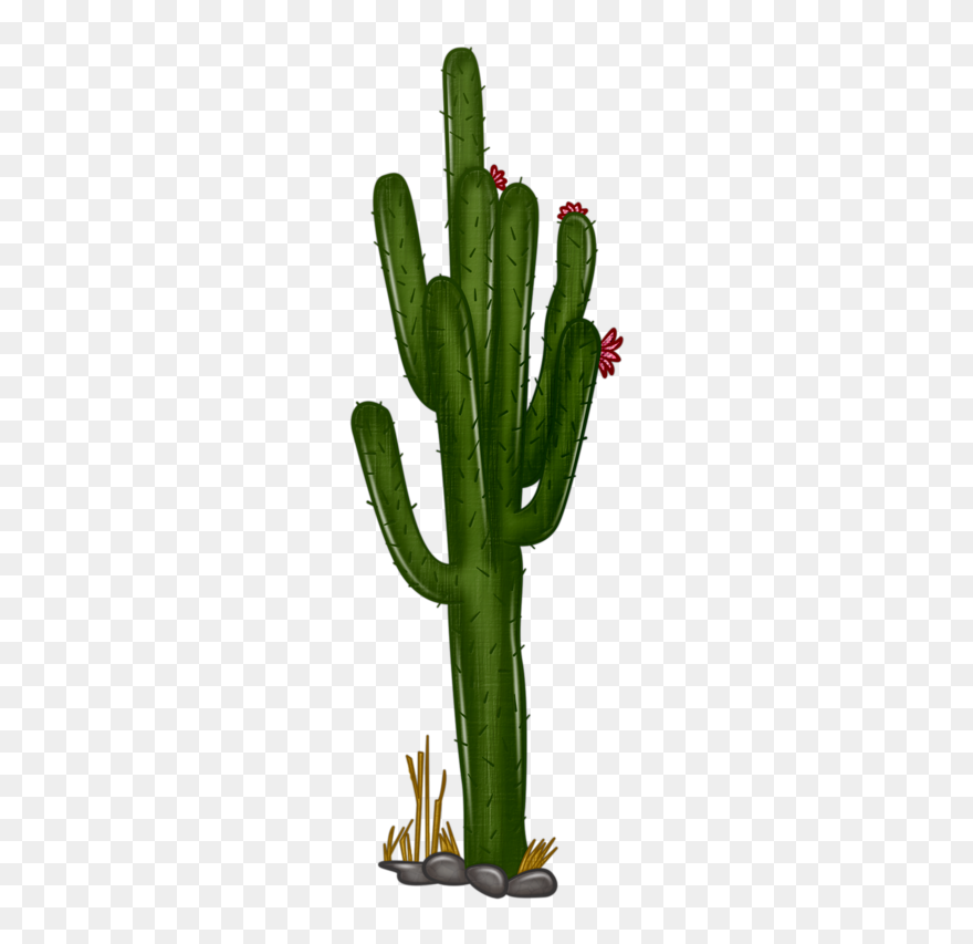 Grand Canyon Clipart Transparent - Cactus Png