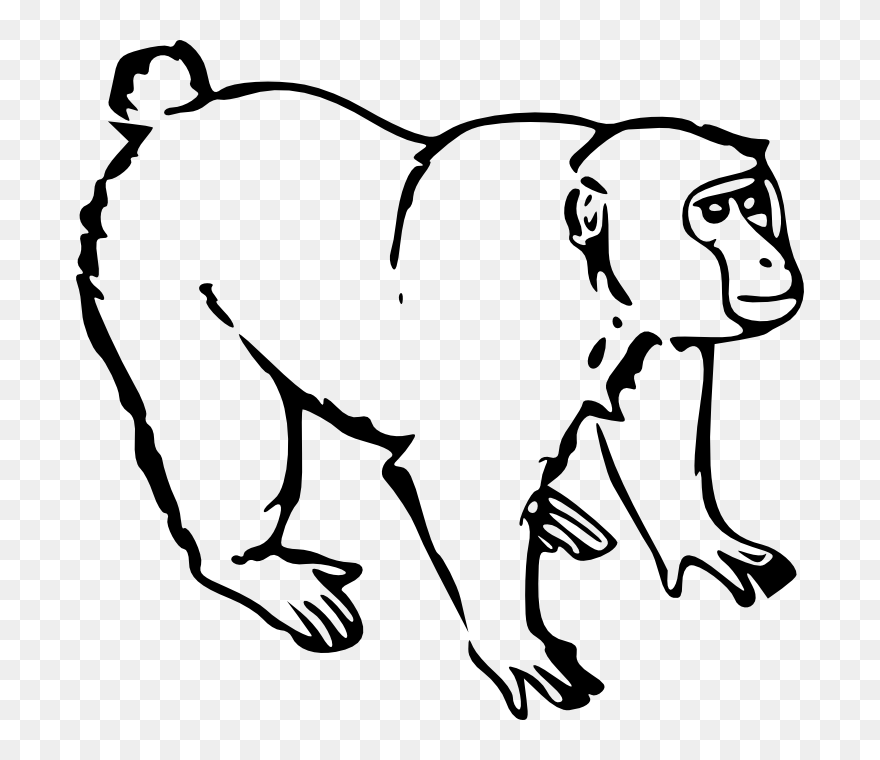 Clipart Monkey Black And White - Monkey Clipart Black And White - Png Download