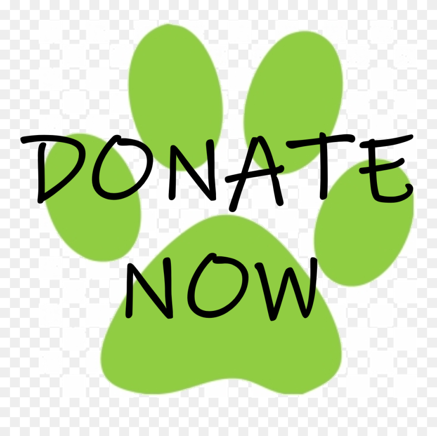 Cat Adoption, Dog Adoption, Kitten Adoption, Puppy Clipart