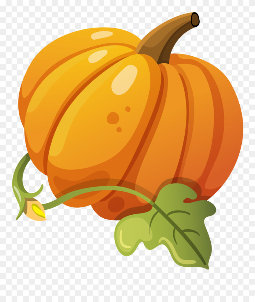Pumpkin - ฟักทอง Png Clipart