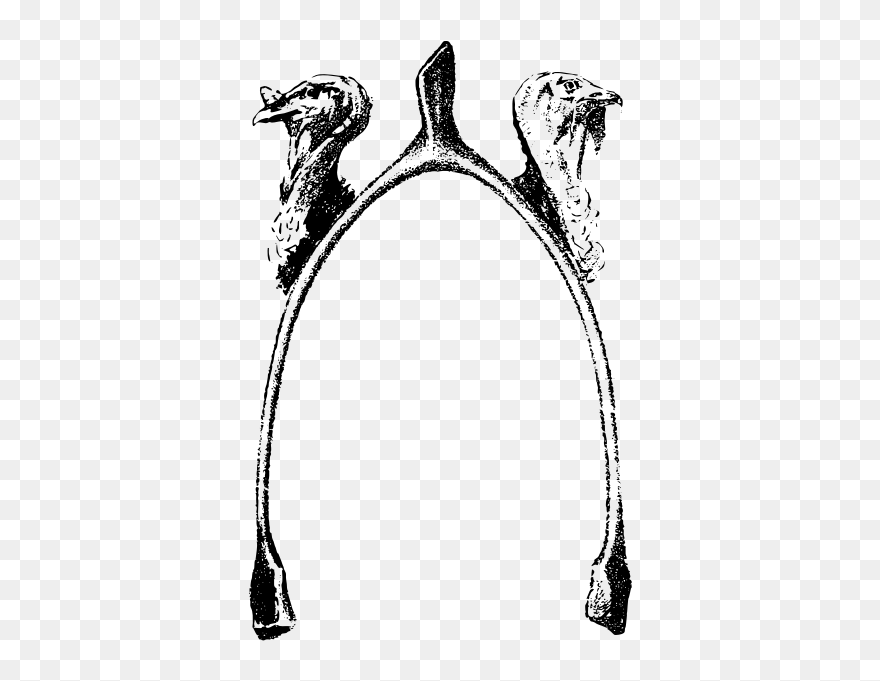 Turkeys With Wishbone - Vintage Thanksgiving Borders Clipart - Png Download