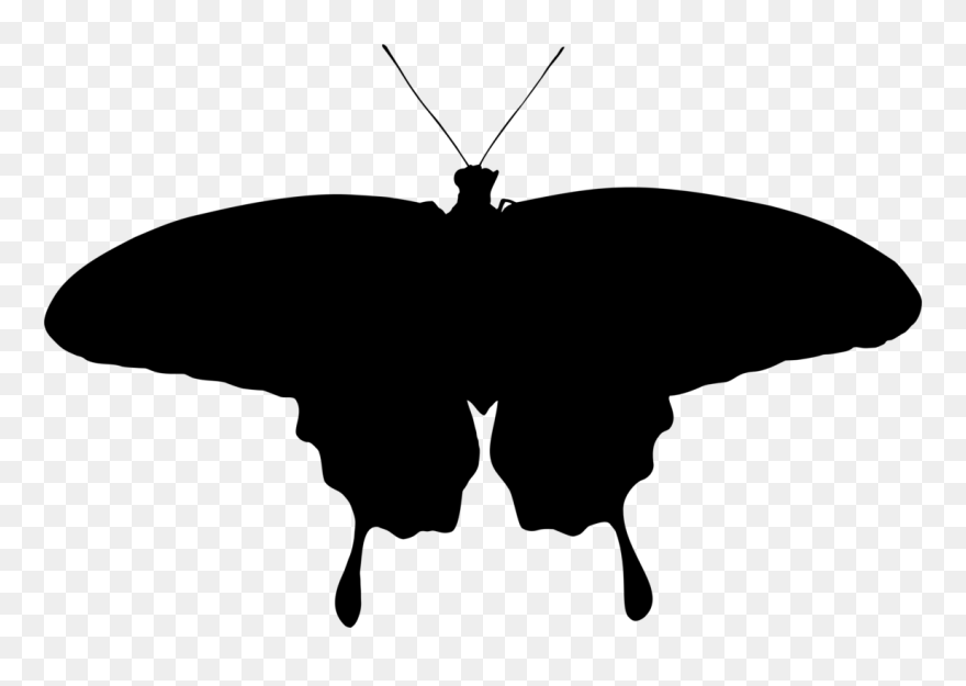 Butterfly Silhouette Monochrome Photography - Transparent Moth Silhouette Clipart