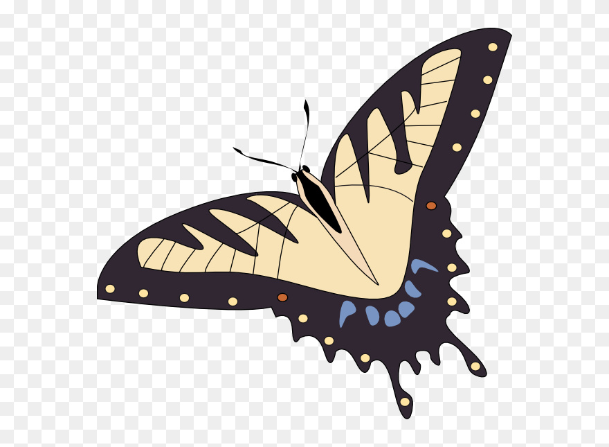 フリー 画像 昆虫 イラスト Clipart