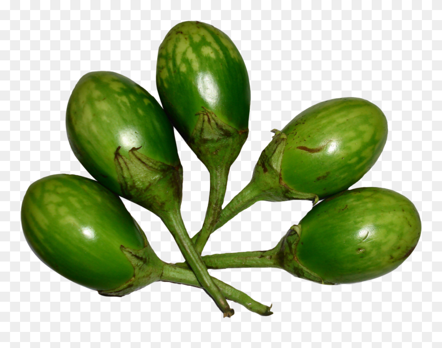 Brinjal Green Png Image - Green Brinjal Png Clipart