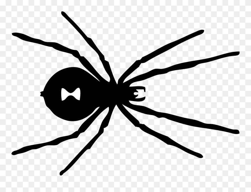 Black And White Panda - Black Widow Spider Pattern Clipart