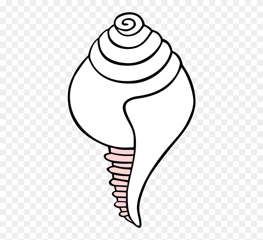 Clipart Shankh Png Transparent Png