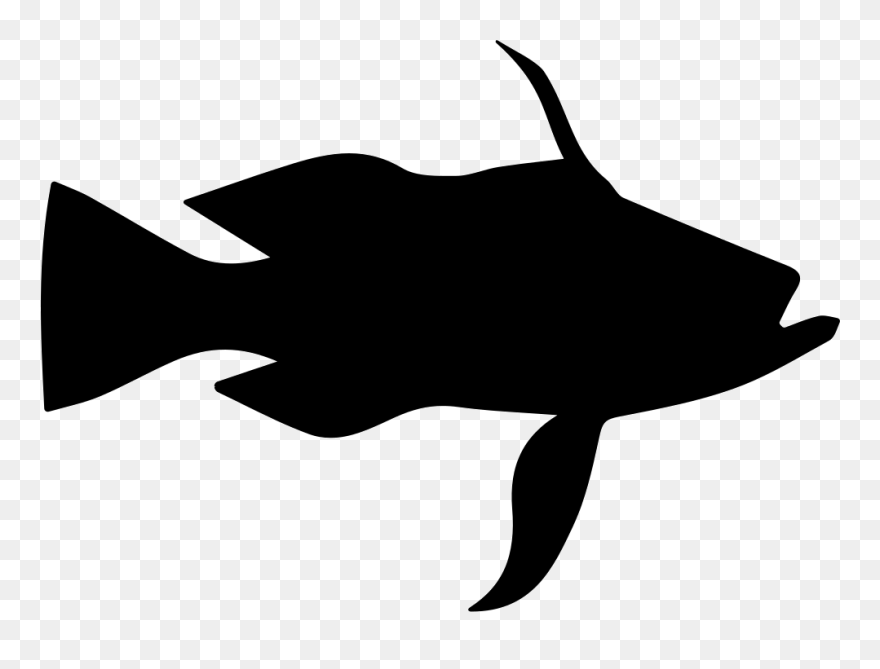 Longtail Bass Fish Shape - Scalable Vector Graphics Clipart