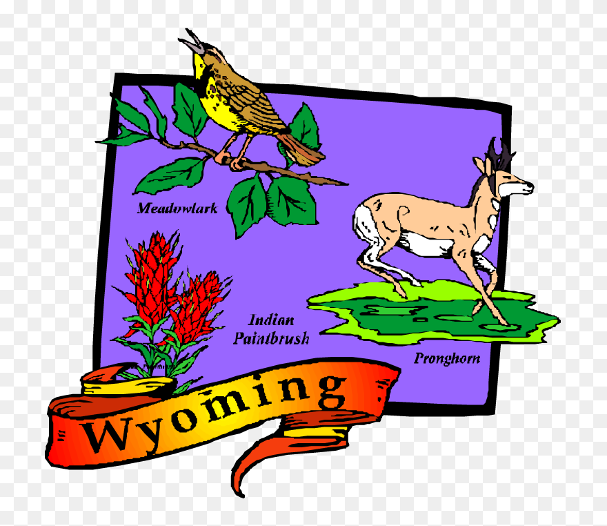 Disaster Clipart Family Needs - Wyoming Map Clipart - Png Download