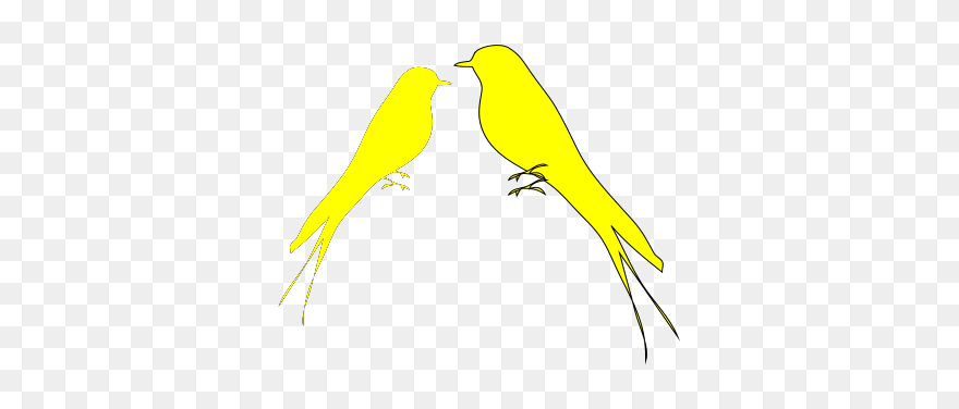 Parakeet Clipart