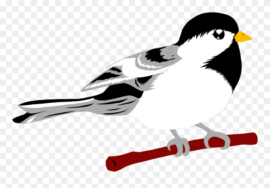 Free Stock Photos - Chinese Bird Png Clipart