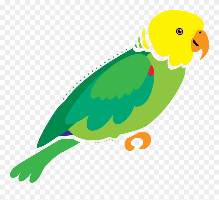 Lois Mitchell S Art - Parrots Clipart
