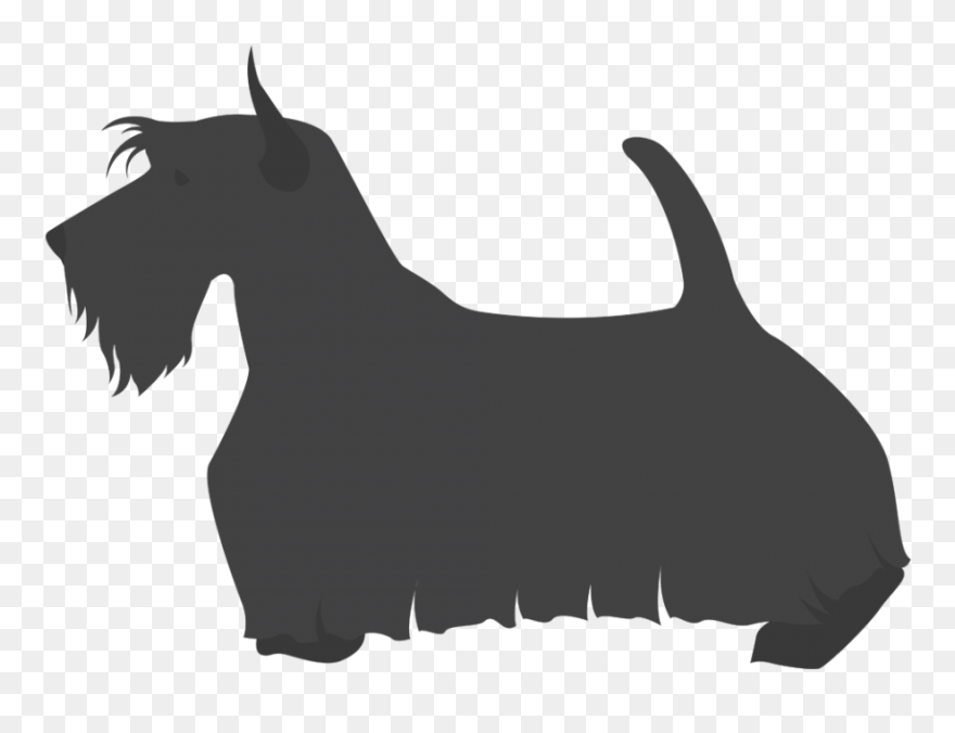 Scottish Terrier Cesky Terrier Welsh Terrier Dog Breed - Lamar Middle School Scotties Clipart
