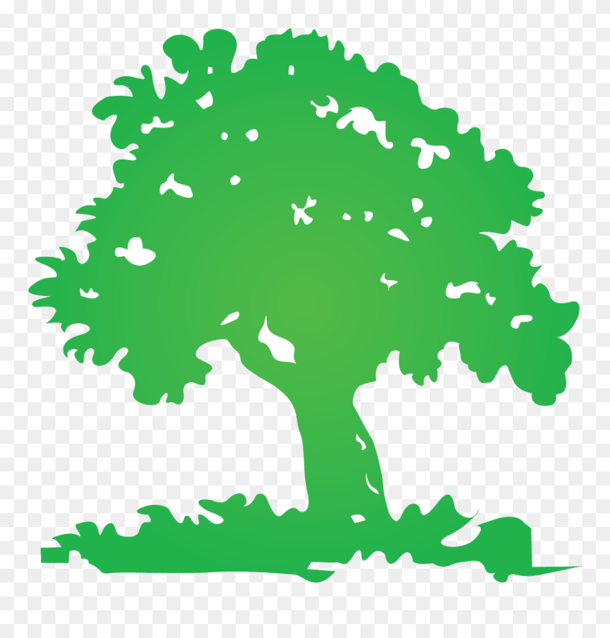 Tree Pruning Clipart Vector Freeuse Hamm"s Arborcare - Tree Clipart For Logo - Png Download