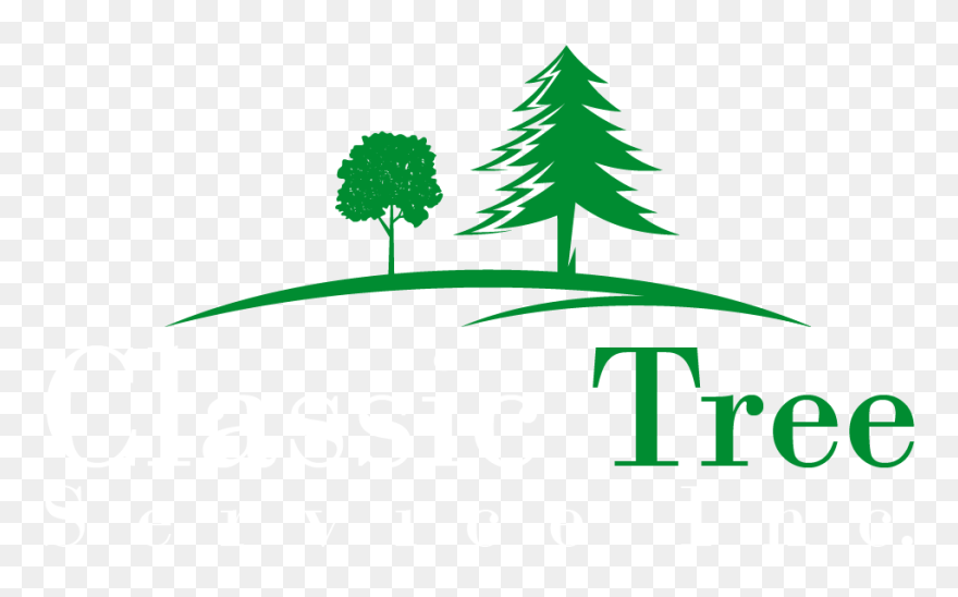 Christmas Tree Clipart