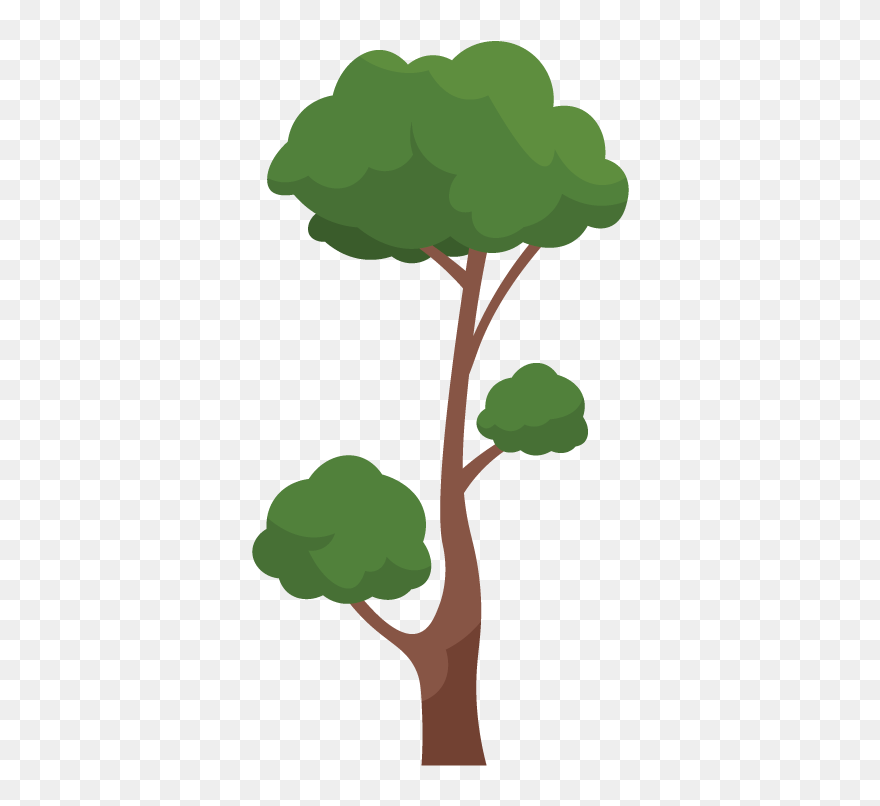 Illustration Clipart