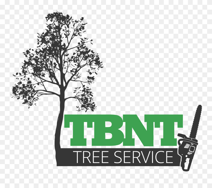 Tree Clipart