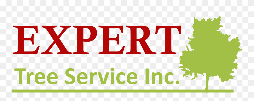 Expert Tree Service Clipart