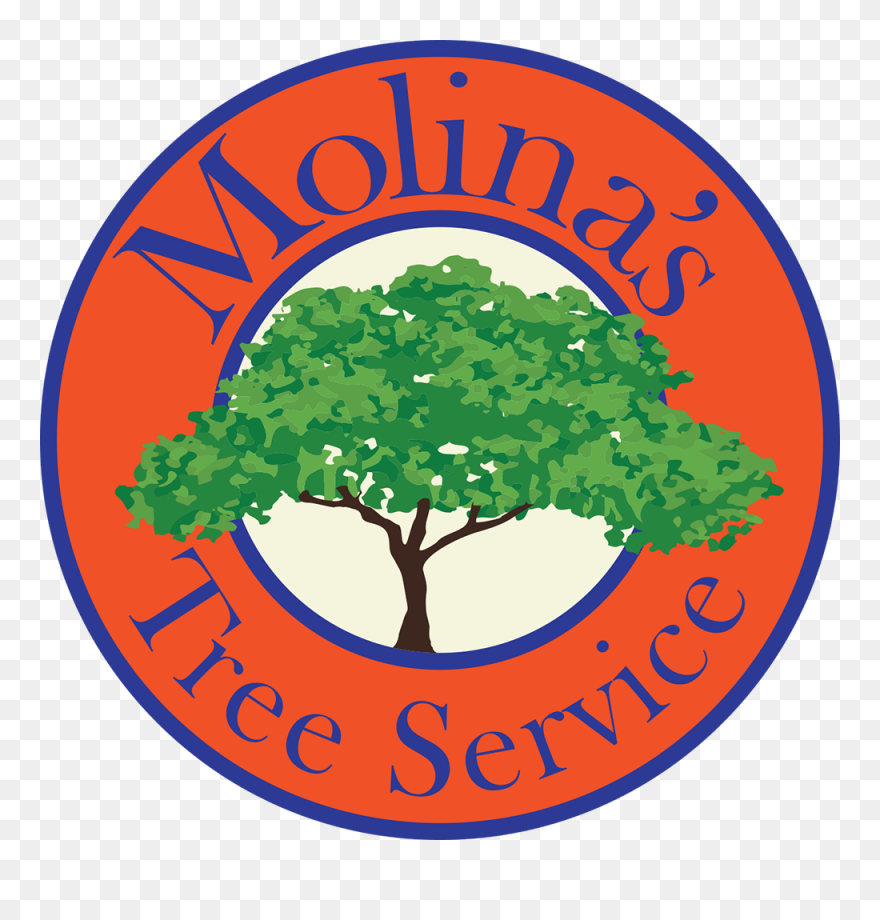 Molina"s Tree Service And Landscaping Logo Clipart