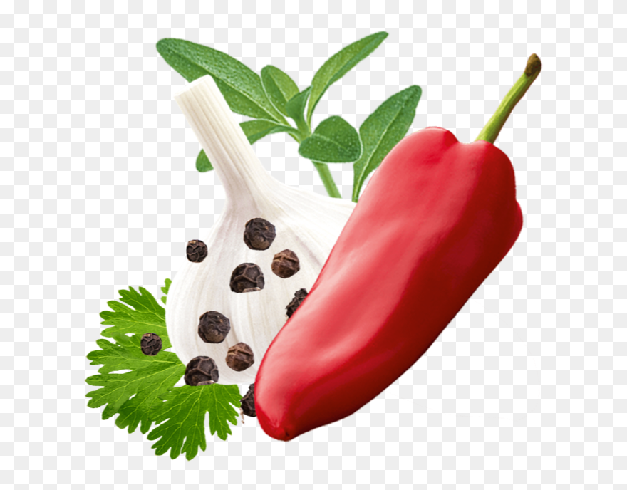 Clip Art - Png Download