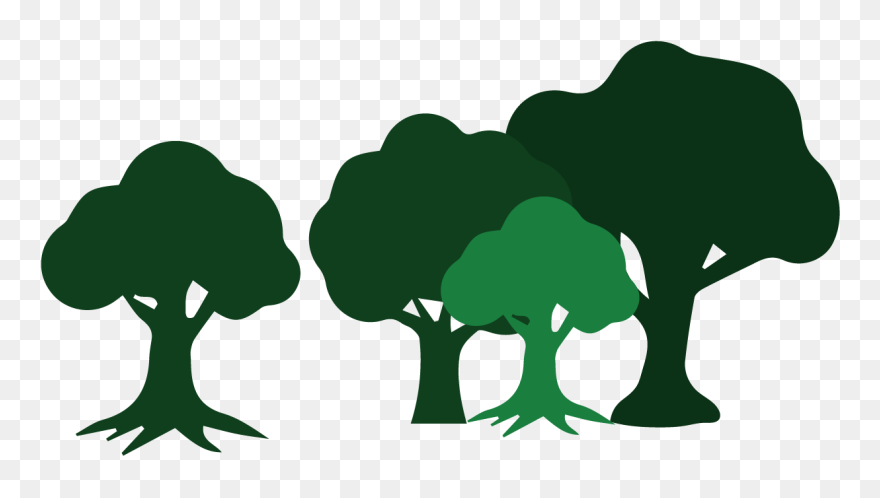 Wildcat Creek Tree Services Has The Skills To Assist - Wildcat Creek Tree Service Clipart