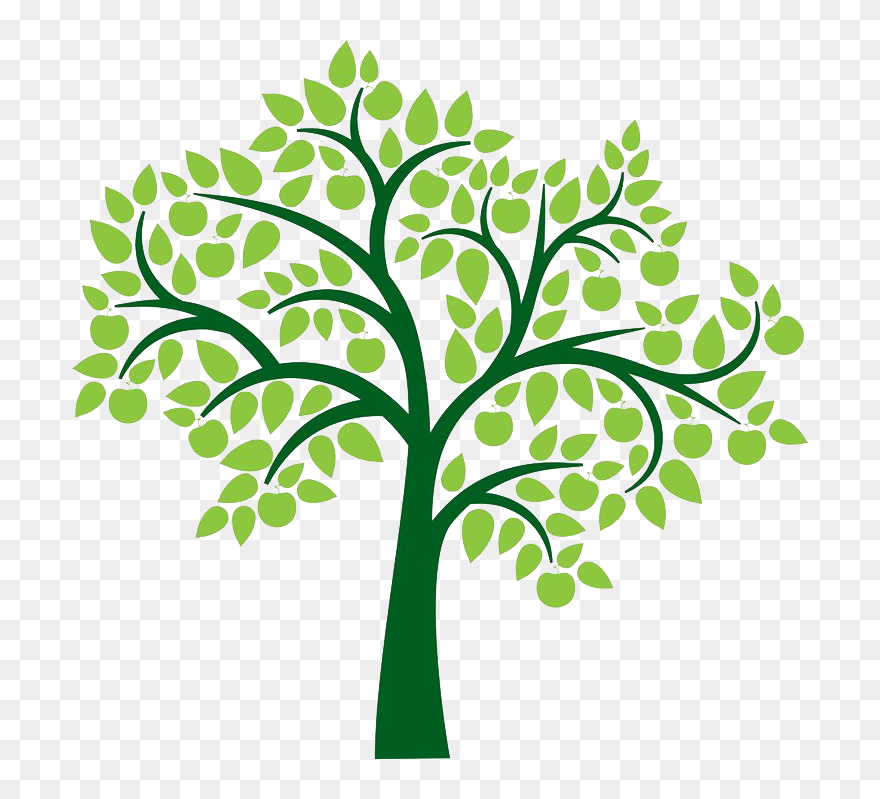 Tree For Family Tree Clipart