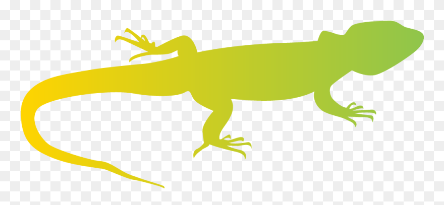 Green Iguana Clipart