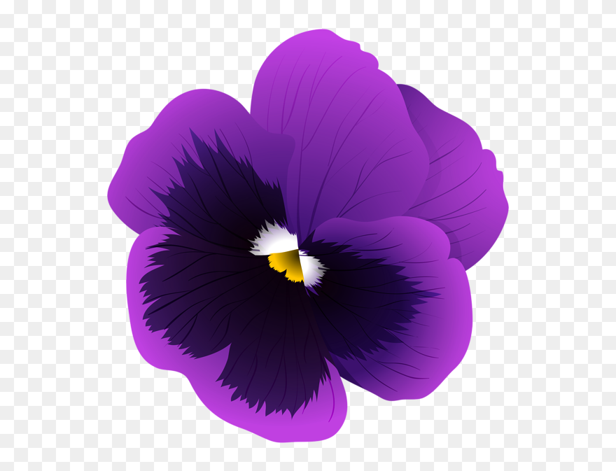 Violet Flower Transparent Png Clip Art Image - Violet Flower Transparent Background