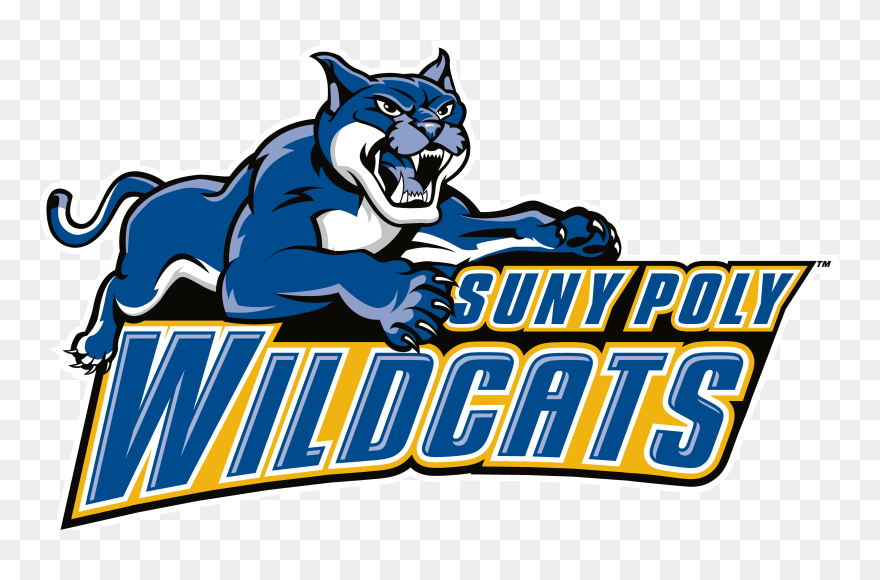 #basketball #suny #wildcats #poly #freetoedit - Suny Polytechnic Institute Wildcats Clipart