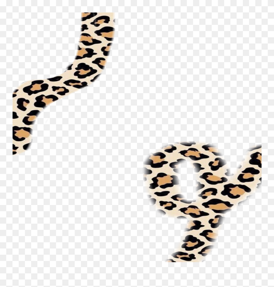 #cheetahprint #vscobackground #vsco #cutebackground - Cheetah Print Background Vsco Clipart