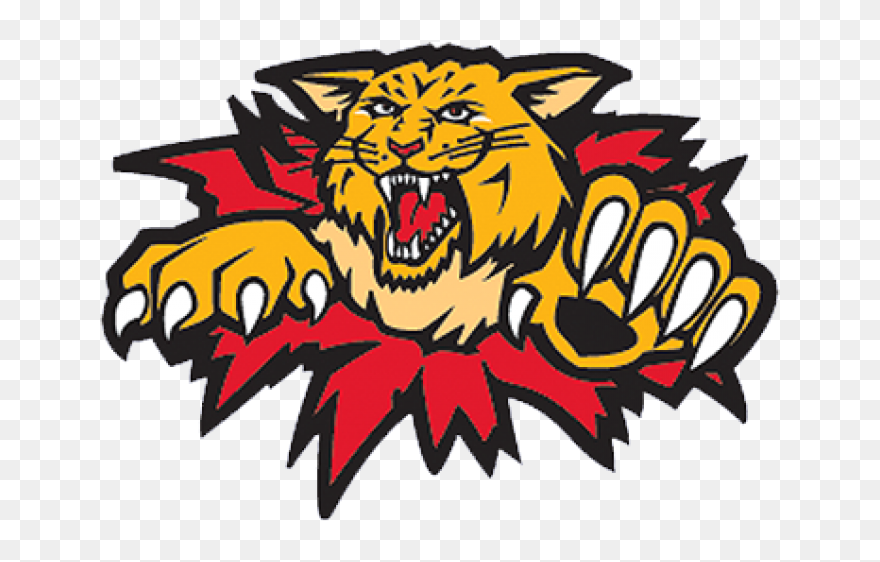 Wildcats Moncton Clipart