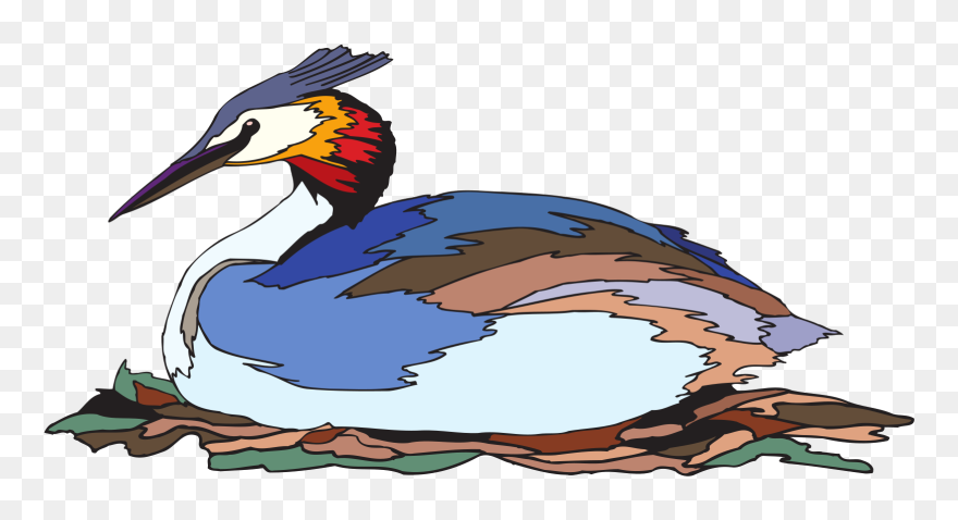 Gerebe Png Clipart