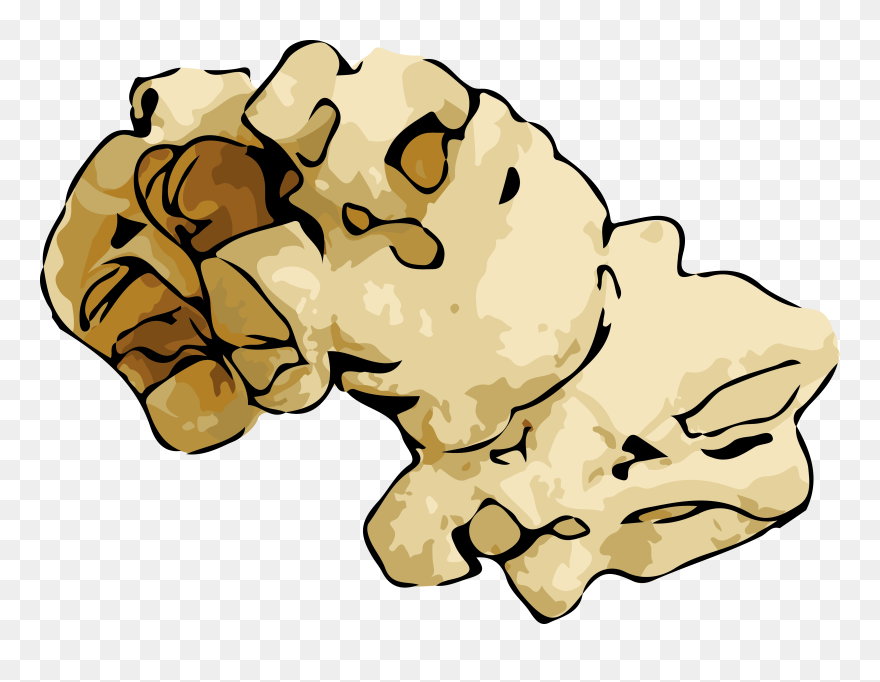 Clip Art - Png Download