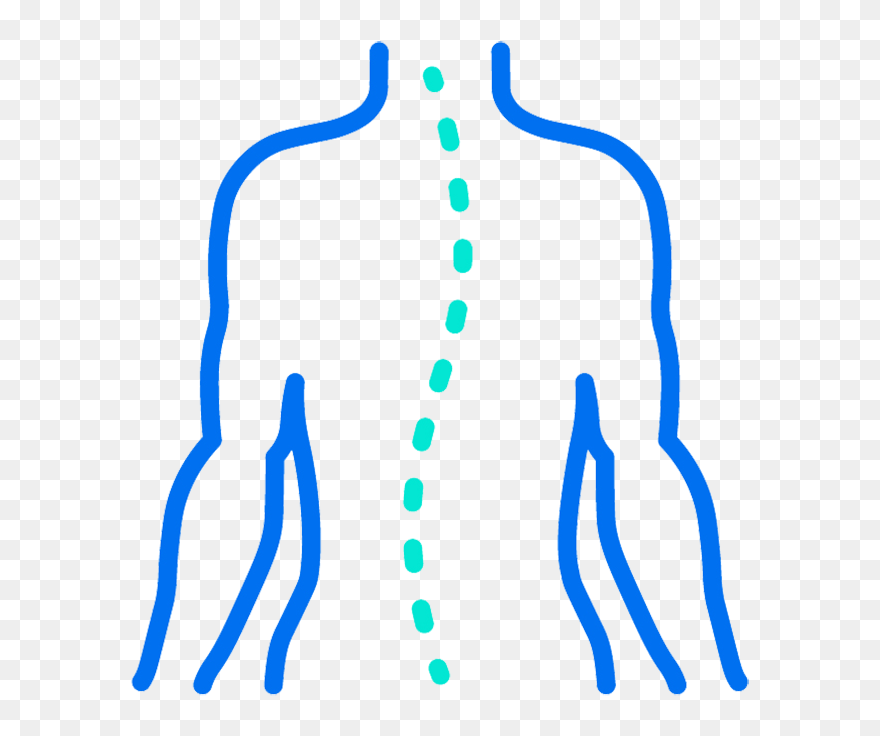 Clip Art - Png Download