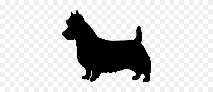 Pembroke Welsh Corgi Australian Terrier Bull Terrier - Corgi Silhouette Clip Art - Png Download