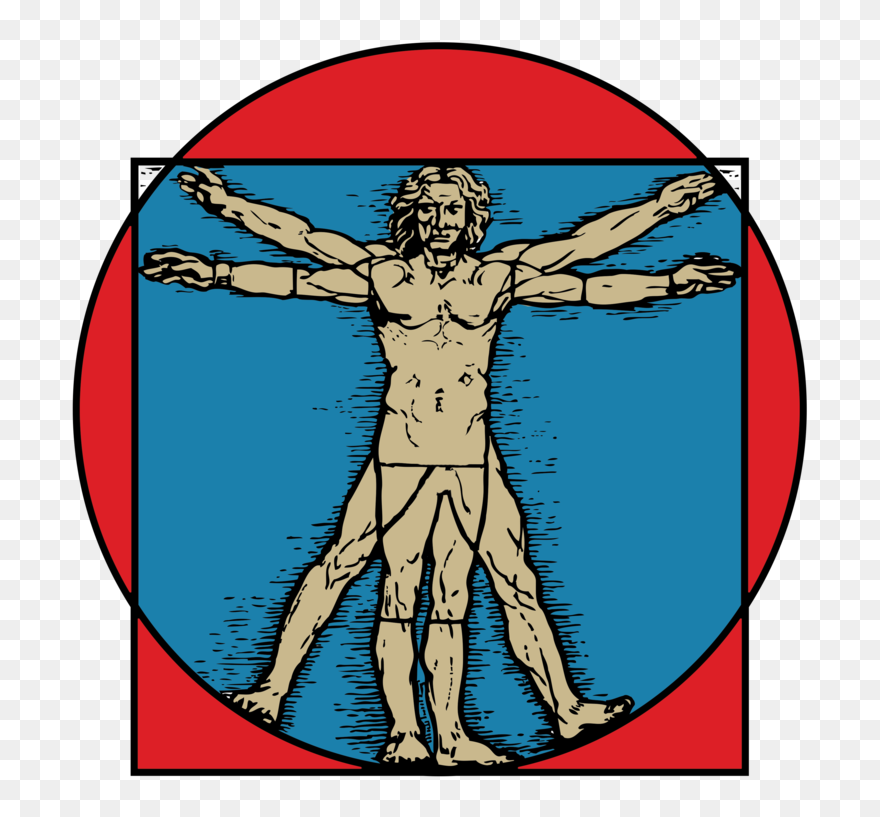 Mark Cafagna Chiropractor In San Marcos - Vitruvian Man Clipart