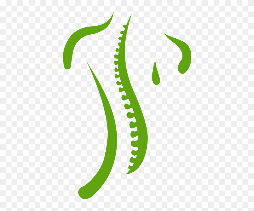 Spine Logo Clipart