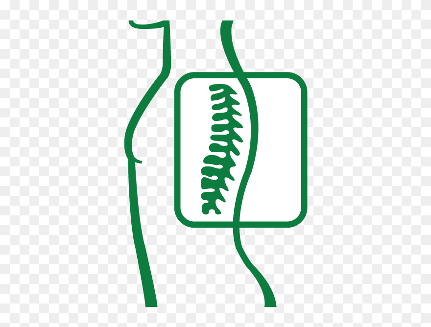 Free Spinal Screening Icon Clipart