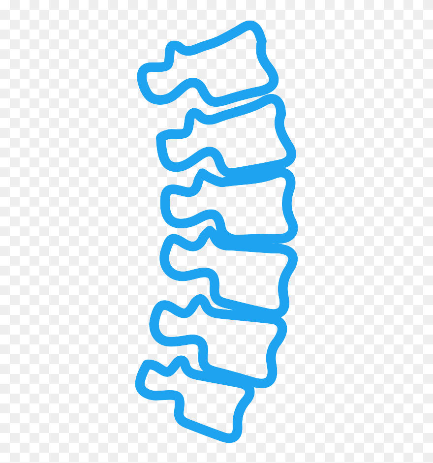 Transparent Spine Icon Clipart