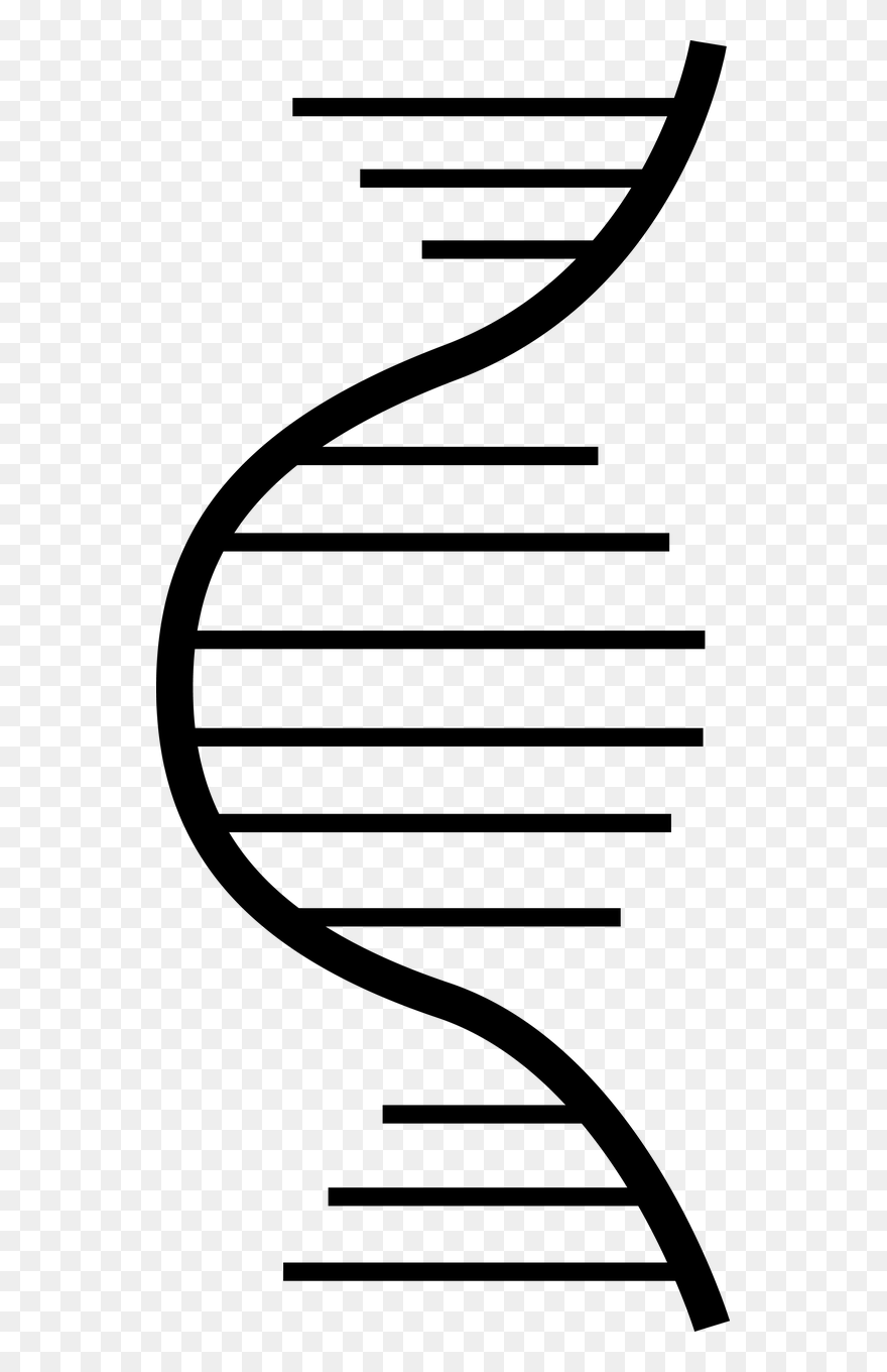 Dna Genetic Biology Free Photo - Dna Clipart