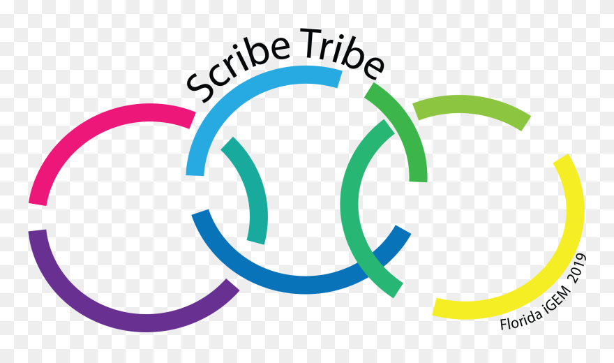 Clip Art - Png Download