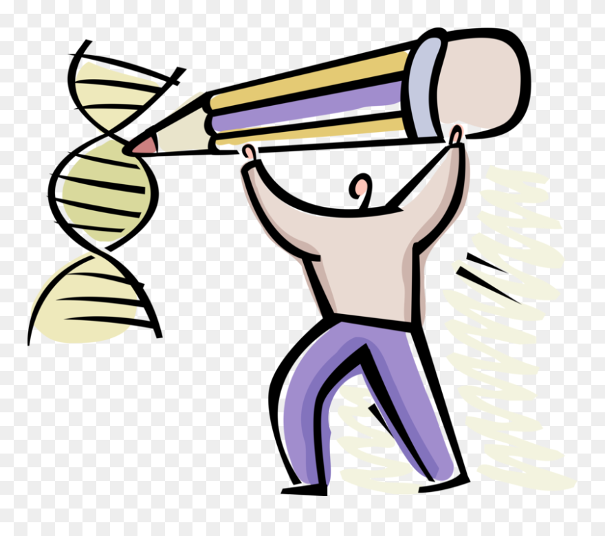 Vector Illustration Of Genetic Engineering Or Dna Modification Clipart