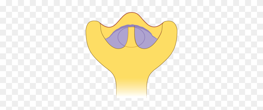 Clip Art - Png Download