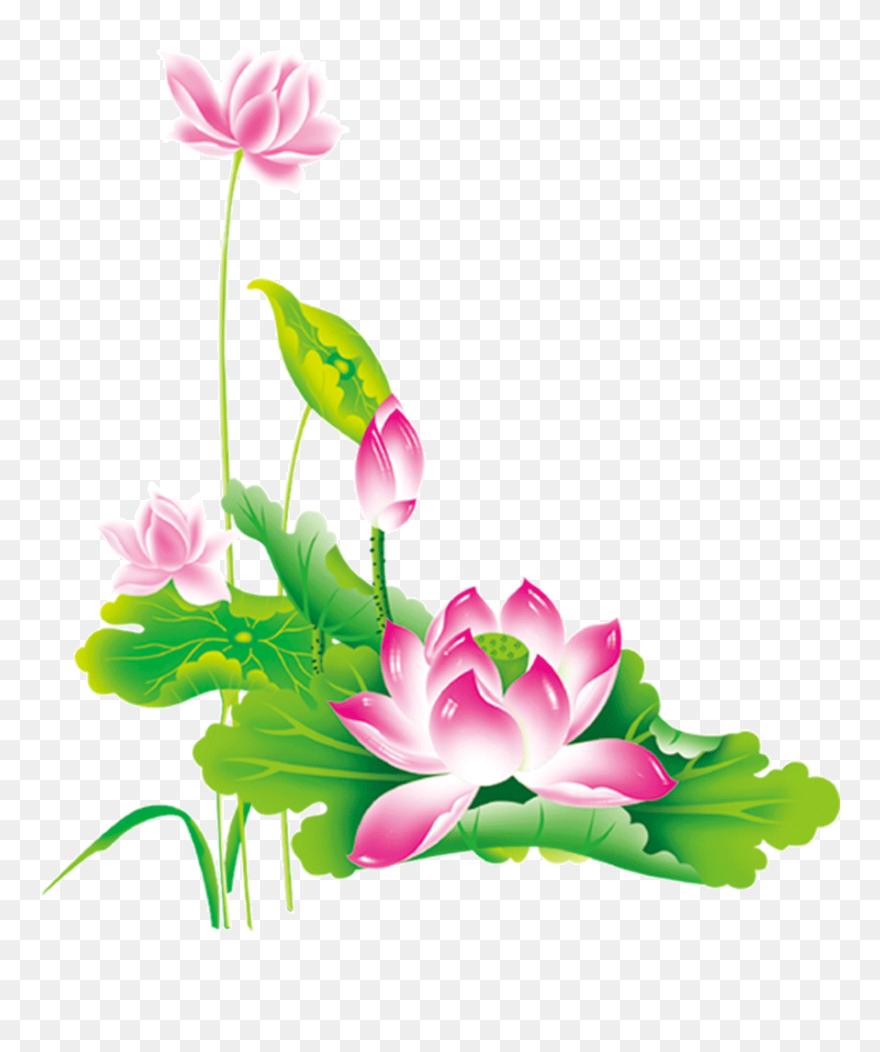 Transparent Chinese Flower Png - Chinese Flowers Clipart Png