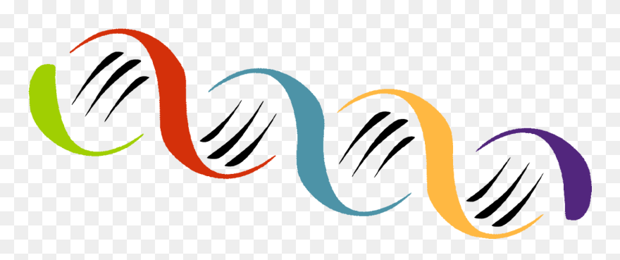 Bioethics Clipart - Png Download