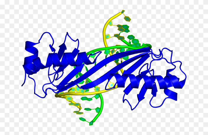 Graphic Design Clipart