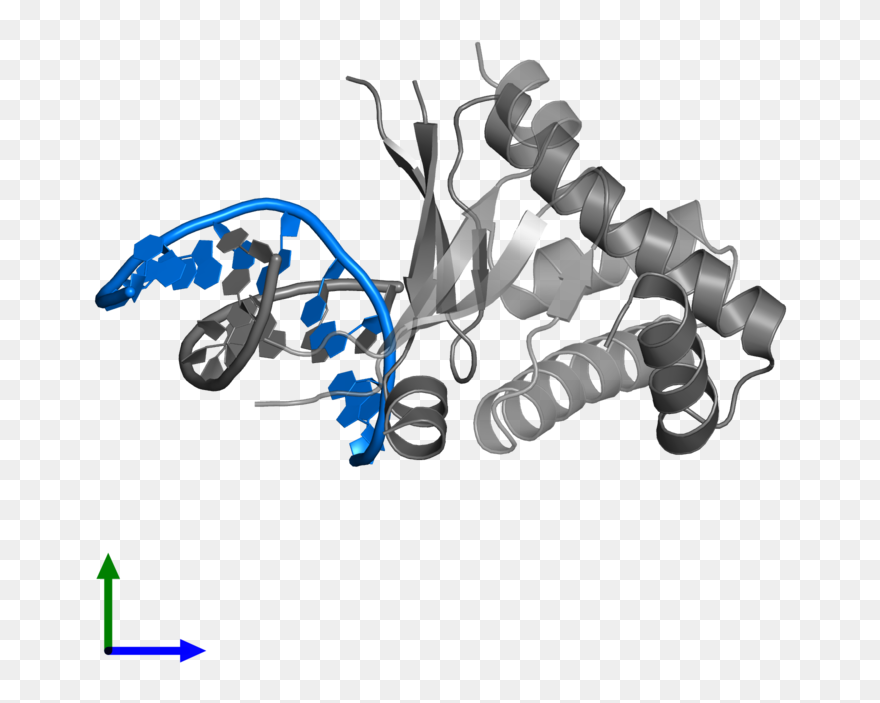 Illustration Clipart