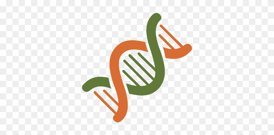 Dna Png - Portable Network Graphics Clipart