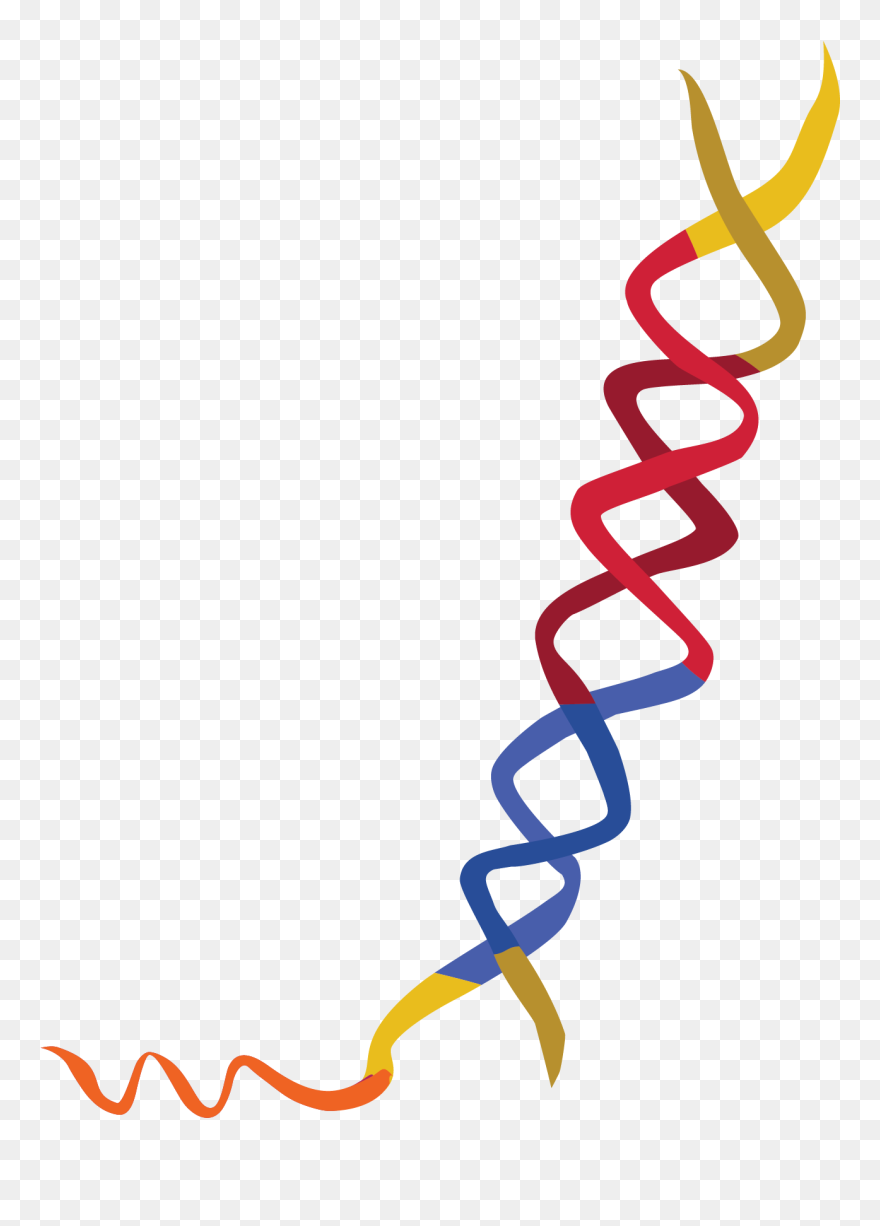 Gene With Dna Extension - Calligraphy Clipart